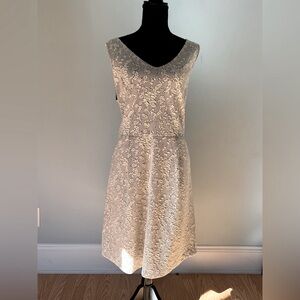 Anne Taylor Loft Dress